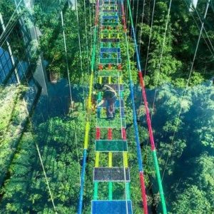 Cầu leo ​​núi ngoài trời – công viên giải trí VGTrides