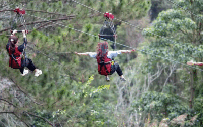 zipline-da-lat