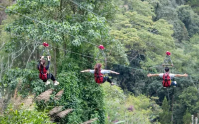 Datanla-1500-meter-Zipline-in-Da-Lat-2